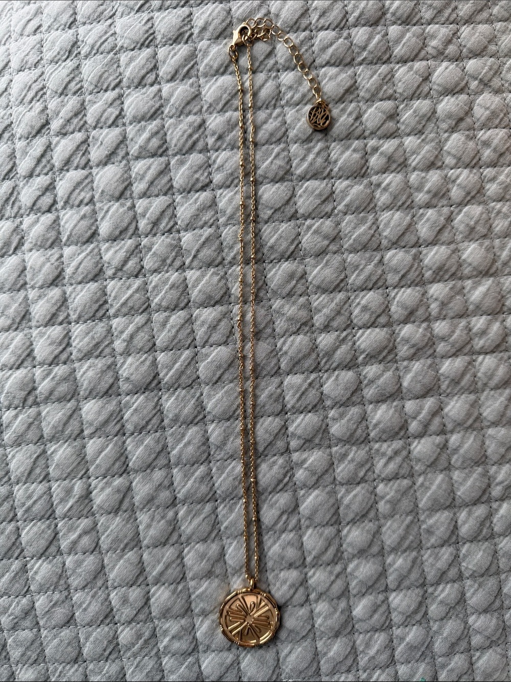 Lilly Pulitzer Gold Necklace with Retired Lemon Logo Medallion - Women's Jewelry